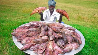 KING OF HAMOUR FISH RECIPE  Village Traditional Fish Curry  மன்வாசனையில் பண்டாரி மீன் குழம்பு [upl. by Ahrens105]