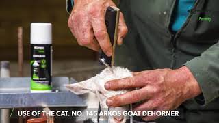 Use of the Cat No 145 arkos goat dehorner by Express Farming [upl. by Luella304]