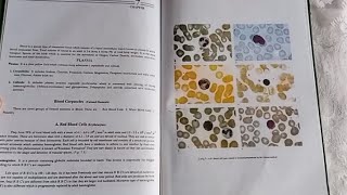 anatomy guide book by Dr Asma shamshadanatomyguidbookbloodshortvideo [upl. by Htidirrem]