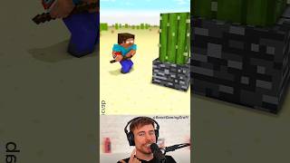 MR BEAST MINECRAFT 🗿 [upl. by Gisela251]