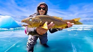 Insane Brown Trout Fishing in Hidden Valley [upl. by Banquer]