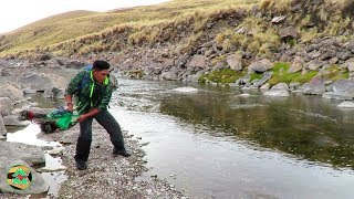 Pescador PESCA TRUCHAS DE RÍO  Pescando TRUCHAS CON ATARRAYA [upl. by Artimed]