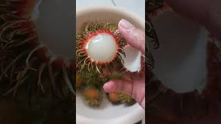 Fresh Rambutan  Red Fruit [upl. by Aileno924]