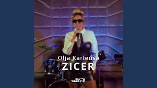 Zicer Cover [upl. by Heidi321]