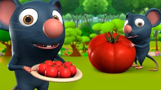 Chuha Aur Tamatar 3D Animated Hindi Moral Stories for Kids चूहा और टमाटर Rat Panchatantra Tales [upl. by Nnelg]