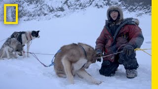 Dog Sledding in the Winter Terrain  Life Below Zero [upl. by Atinhoj]