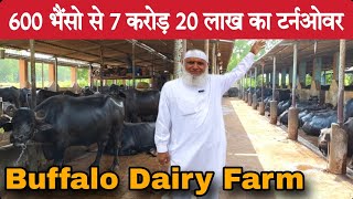 बड़ा भाई 28 साल सऊदी में कामकर 600 भैंसो का Farm बनाया छोटे भाइयों के लिए  Big Buffalo Dairy Farm [upl. by Galvan583]