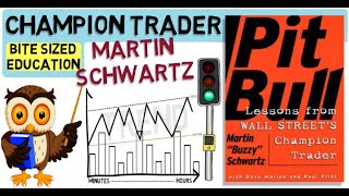 MARTIN SCHWARTZ  PIT BULL  Lessons from Wall Streets Champion Trader [upl. by Rebmat]