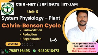 CalvinBenson Cycle  Carboxylation Reduction amp Regeneration  Plant Physiologygenesisinstitute [upl. by Randal]