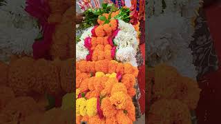 Khatu Shyam Mandir khatu shyam Sikar Rajasthan khatushyam status youtubeshort [upl. by Kcirederf]