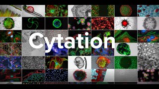 BioTek Cytation Cell Imaging Multi Mode Plate Readers  Ready For Any Assay [upl. by Arno]