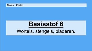 VMBO 4  Planten  Basisstof 6 Wortels stengels en bladeren [upl. by Nimzzaj593]