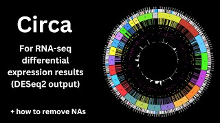 Circa for RNAseq Differential expression circos plot old version of Circa [upl. by Enaoj442]