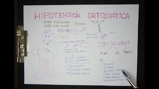 HIPOTENSIÓN ORTOSTÁTICA definición fisiopatología tratamiento [upl. by Rastus]