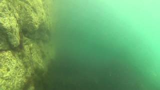 Wrasse Fishing with Underwater Camera Footage at Holyhead Breakwater Wales UK part 1 of 3 [upl. by Ibbob]