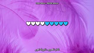 Cheb Nasro الشاب نصرو  Ndirek amour نديرك امور  karaoké [upl. by Nelhsa]