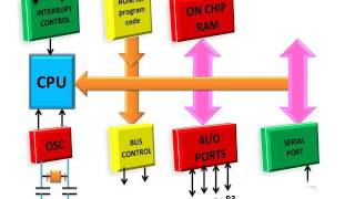 Internal Architecture Of 8051 Microcontroller हिन्दी [upl. by Marijn]