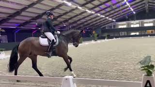 Drentse indoor kampioenschappen 2023 Jolly Dolly vd Oude Meerdijk ZZ licht kur [upl. by Yniattirb]