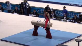 Allroundfinale EK Turnen 2014  Sofia  Paard Jonathan Vrolix [upl. by Holbrook]