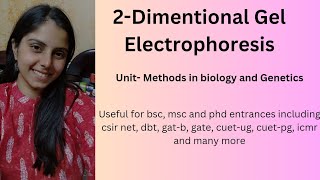 2D Gel electrophoresis [upl. by Fonzie]