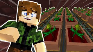 FARM GIGANTE DO MYSTICAL AGRICULTURE  NonoFactory 2 20 Minecraft 116  Mods [upl. by Agn]