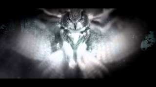 The Qontinent 2013  Official Trailer [upl. by Nywled]