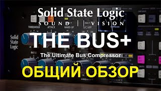 SSL The Bus Общий обзор [upl. by Pardoes]