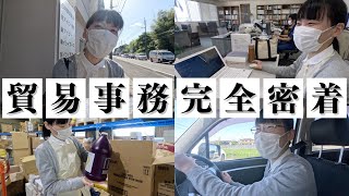 【完全密着】中小企業の貿易事務のリアルな一日を大公開！ [upl. by Enilesoj419]