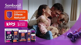 SpotTV SAMBUCOL®  Supporta le tue difese naturali [upl. by Airemaj]