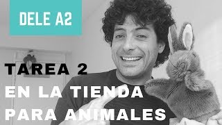 DELE A2  Tarea 2 Tienda para animales [upl. by Raddatz]