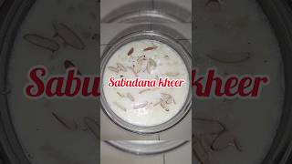 Sabudana Kheer For Navratri SpecialDay 1 sabudanakheer recipe navratrispecial [upl. by Aihsekat]