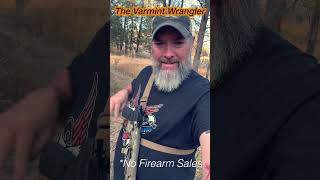 varmint wrangler holster [upl. by Medorra]