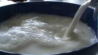 Schwimmt ein MilkyWay wirklich in Milch Wissenschaft Experiment [upl. by Regdor765]