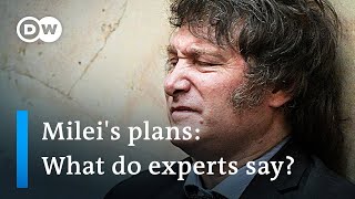 What experts think of ‘anarchocapitalist’ Milei’s plan to dollarize the Argentinian economy [upl. by Rocky]