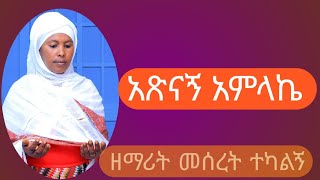 zemarit meseret tekalegn addis mezmur atsnagn amlake  ዘማሪት መሰረት ተካልኝ አዲስ ዝማሬ አጽናኝ አምላኬ [upl. by Devona]