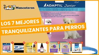 Los 7 mejores tranquilizantes para perros [upl. by Clarette]