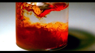 Bradys Reagent raw slow motion [upl. by Auston]