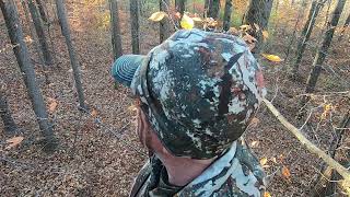 BEAST BROADHEADS  LOW POUNDAGE  2 DEER DOWN [upl. by Tillman]