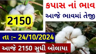 Kapas Na Bhav । 23102024 । કપાસ ના ભાવ  Information about cotton crop price  આજનાં કપાસનાં ભાવ [upl. by Macmahon]