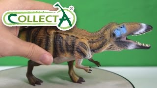 CollectA® Carcharodontosaurus Review [upl. by Dorwin]