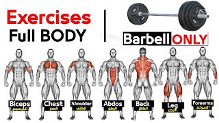 Full Body workout with Barbell Home Workout [upl. by Janeta376]