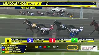 June 29 2024  Perfect Sting Open Mare Pace  Race 3 [upl. by Home129]