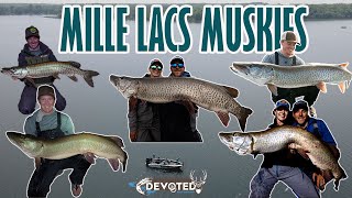 Mille Lacs Muskie INSANE muskie OPENER [upl. by Eelitan]