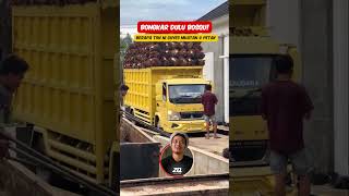 CAIRIN DUIT DULU BOSQU REACTION TRUCKS [upl. by Gallager571]