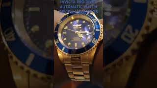 INVICTA AUTOMATIC PRO DIVER WATCH REVIEW M8930OB [upl. by Massie263]