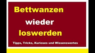 Bettwanzen wieder loswerden Wanzen bekämpfen Woher kommen Hauswanzen Erkennen Bekämpfung Was tun [upl. by Bradshaw]