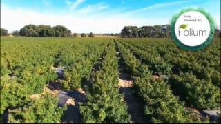 GlobalCannabinoidsio  Hemp CBD Oil Farm  Wholesale amp Bulk CBD Oil [upl. by Ayeka]