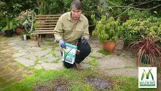 Repairing bare patches in the lawn using Munns Professional Quick Fix Lawn Seed  with Kim Syrus [upl. by Eeryn]