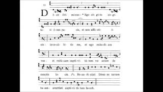 Dominica XXIII post Pentecosten  INTROITUS  Dicit Dominus [upl. by Eedyak]