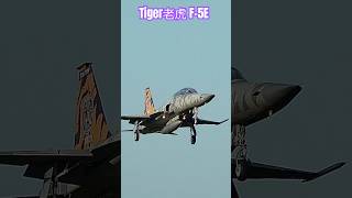 Tiger老虎F5F｜Classic經典｜🇹🇼｜f5 shorts fighters jets taiwan military jets aircraft 飛行機 army [upl. by Erdreid813]